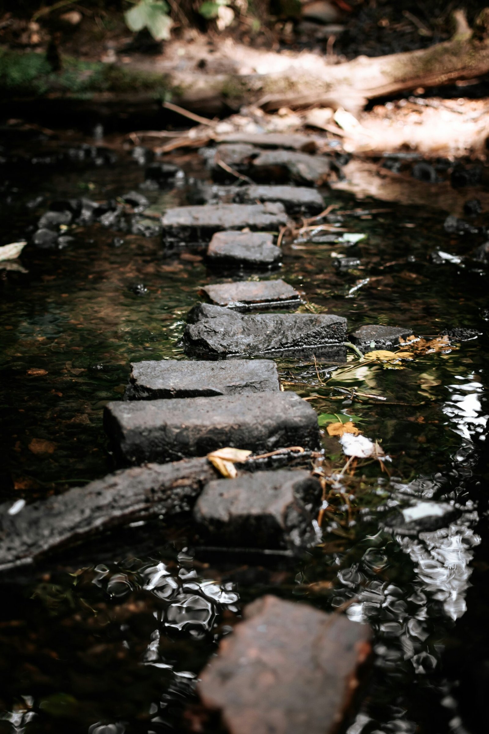 Leadership isn’t about leaping ahead—it’s about stepping with purpose. At MaestroVox, we coach leaders to build durable skills, deepen self-awareness, and move forward with clarity, no matter how complex the path ahead.